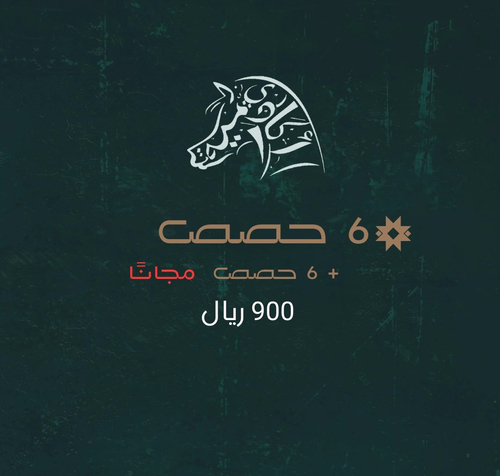  باقة 6 حصص +6 مجانا